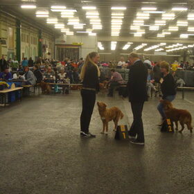 1e geworden babyklas. dogshowbleiswijk