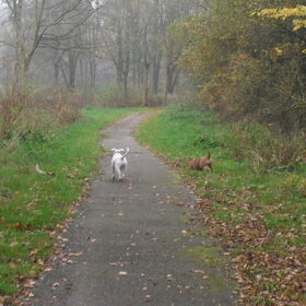 Wandeling 09-11-2011