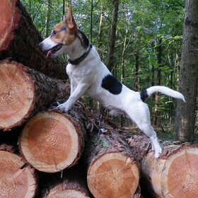 Bikkel alweer 9 maanden
