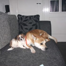 zo even lekker slapen nu zijn we weer wakker:D
