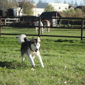 Rennen!! :)