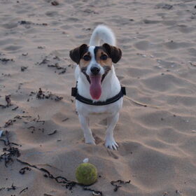 Smile!