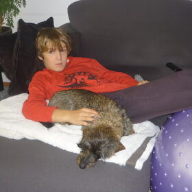 Hondenfoto van Greetje & Odie