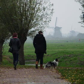 Hondenfoto van Lizzie en Sterre