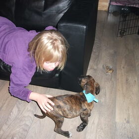 Hondenfoto van kimberley,Mikey&Diva