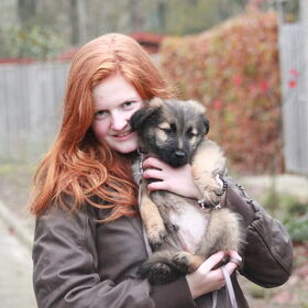 Hondenfoto van team Shadow