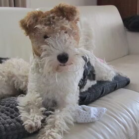 Lieve Lotje!!!