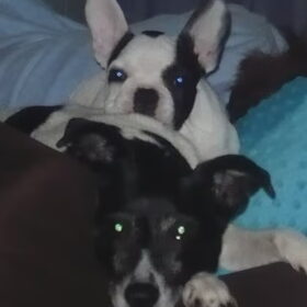 Skippy & Angel