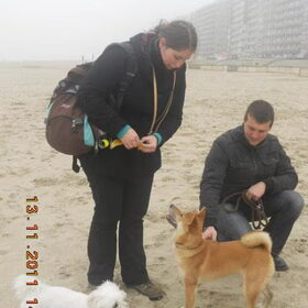 Kenai aan zee