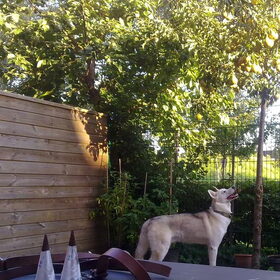 Sunny 1 jaar en 2 maanden