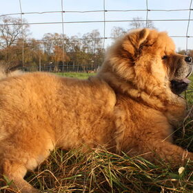 even een wandelpauze