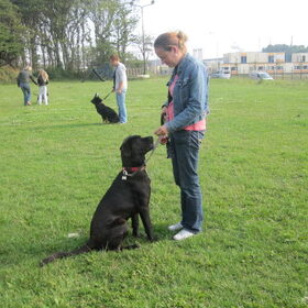 Op cursus