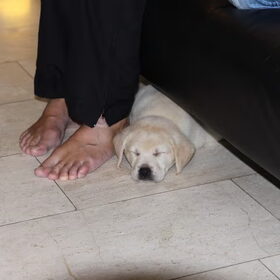 sleeping beauty :)
