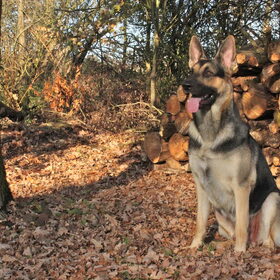 Heerlijke wandeling!