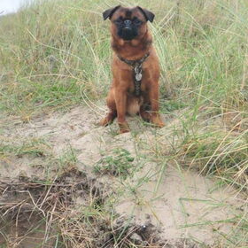 In de duinen
