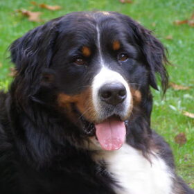 lekker smoel, sept 2011 vak.lunteren