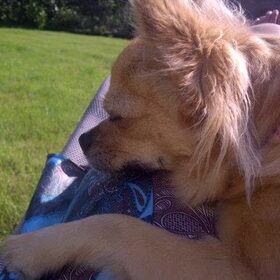 Chika aant chillen in de zon