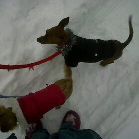 mee naar de ardennen! sneeuwpret!