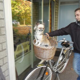 zo mizka in mandje met fiets ze is nog wel bang maar is al wel…