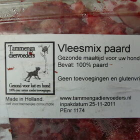 Tammenga paard