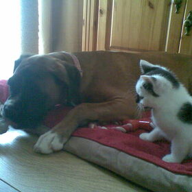 Ook al ben ik wel wat groter, ben wel lief voor dit kleine ding…