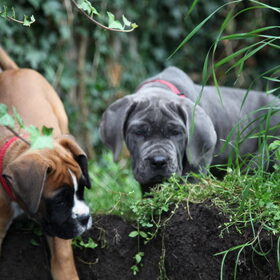 samen op ontdekking