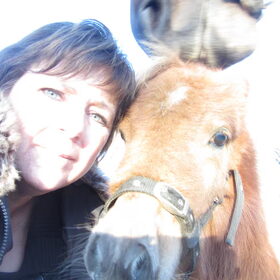 Hondenfoto van liesbeth,Turbo,Luna, Levi en Faith
