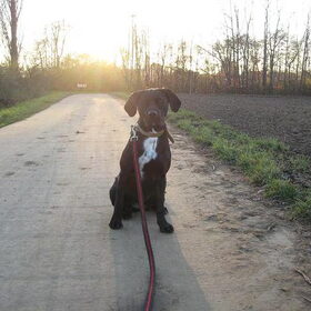 28 november - ondergaande zon