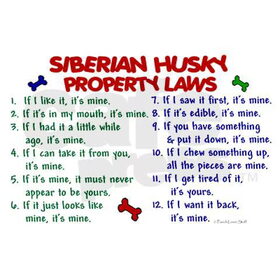 the husky rules