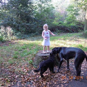Samen in het bos