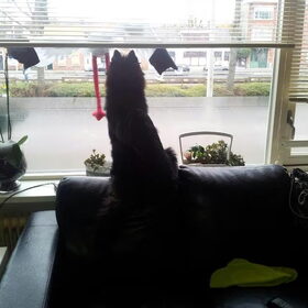 Ben ik even me dochter uit school halen, mevrouw hoort me niet…