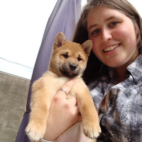 kenai als pup, 52dagen oud