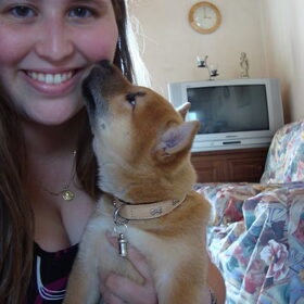 kenai als pup, ze mag mee naar huis! :D