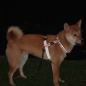Kenai 8maand