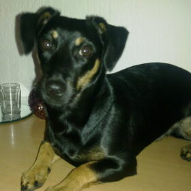 Alweer bijna 7 mnd. Lkkr ondeugend maar wel heel lief!!!