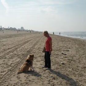 Lekker op het strand in Noorwijk aan Zee.