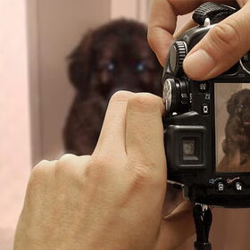 Hondenfoto van Madelon&Baloe