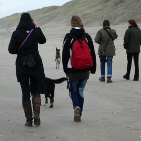Hp wandeling
