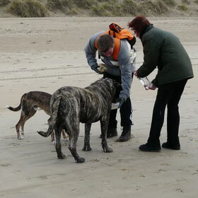 Hp wandeling 03-12-2011 (7)