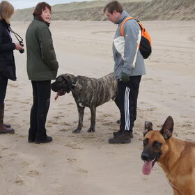 Hp wandeling 03-12-2011 (11)