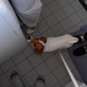 wat doen ze toch met dat baby'tje