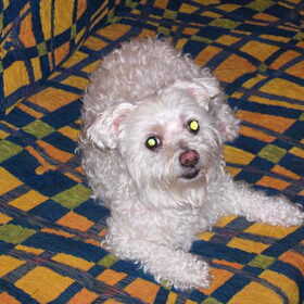 Debbie