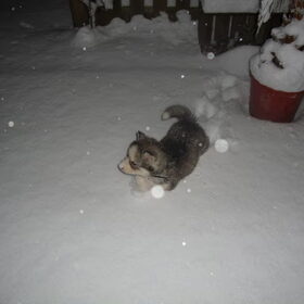 mijn eerste sneeuw