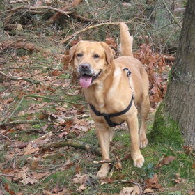 4 december 2010 was je doodziek en nu een jaar later geniet je…