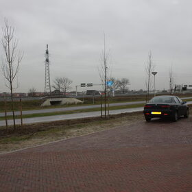 Hondenfoto van Sam,Saltarin,Muis,Zara,Terra+en Paco 
