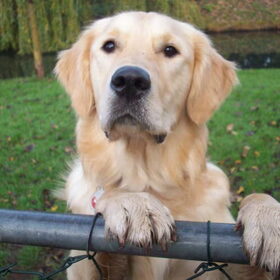 Max 14 maanden oud
