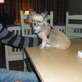 mizka mee op verlof