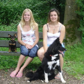 met een dwerg pincher