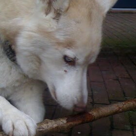ff ruiken....