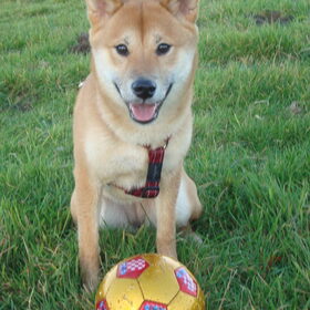 Kenai de voetbalster :D